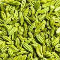 Fennel Seeds