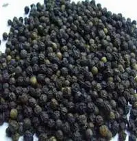 Black Pepper