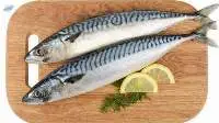 Fresh Spanish Mackarel (Tenggiri)