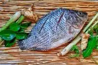Fresh Tilapia