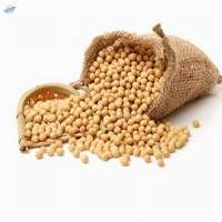 Export Grade Premium Soybean Seeds
