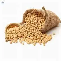 Export Grade Premium Soybean Seeds