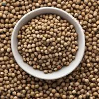 Coriander Seeds