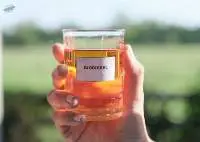 Petroleum Product Like Biodiesel
