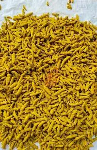 Turmeric Finger