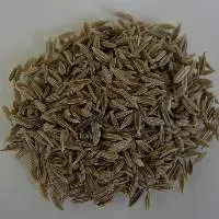 Cumin Seeds