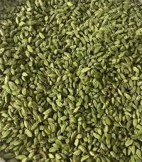 Cardamom