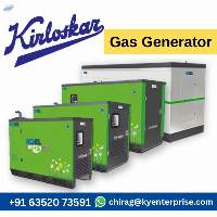 Natural Gas Generator 250 Kva