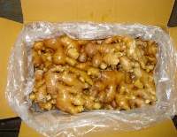 Fresh Mature Ginger