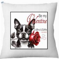 Pillows Be my Valentine