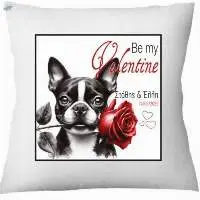 Pillows Be my Valentine
