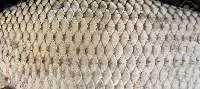 Fish scales