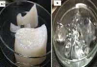 Fish Scales Hydrogel