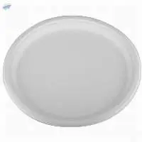 Sugarcan Baggase Tableware