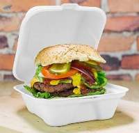 Biodegrade Food Container