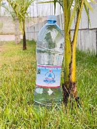 Mineral Water Legitimate Alkalyne Ph8.5