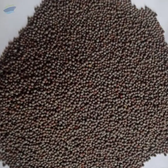 Barley Seeds