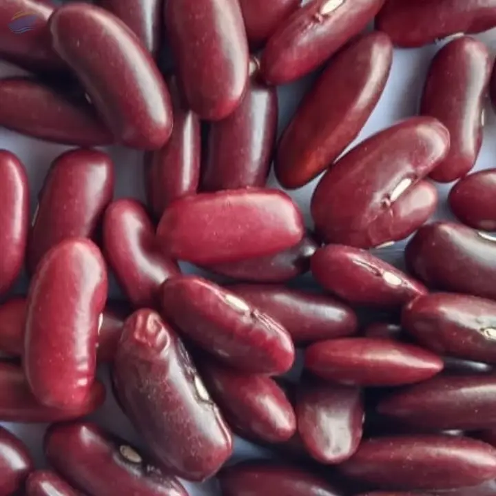 Lentils