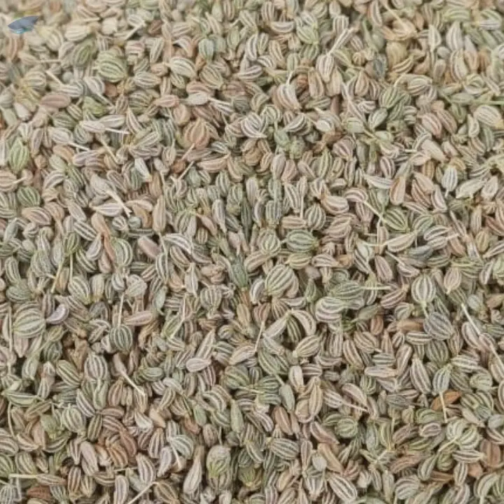 Carom Seeds