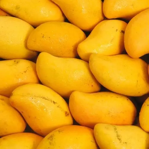 Mango