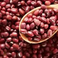 Beans