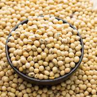 Soybeans & Soybean Meal