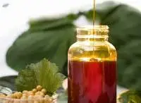 Non-GMO Soy Lecithin Liquid Food Grade