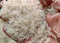 Sharbati Basmati Rice