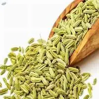 Fennel Seeds