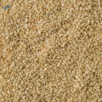 White Sesame Seed (Anahi K3)