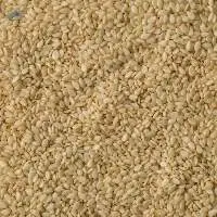 White Sesame Seed (Anahi K3)