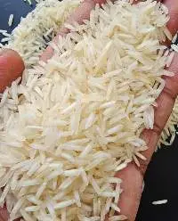 1121 Steam Rice