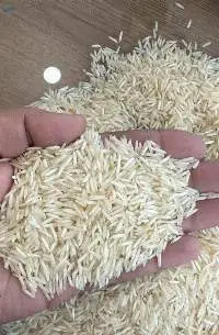 1401 Steam Basmati rice