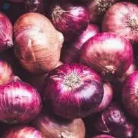 Onion
