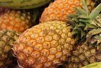 Pineapple