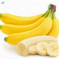Cavendish Banana
