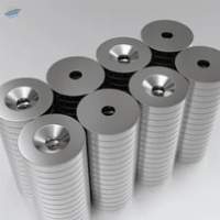 Rare Earth Magnets