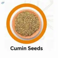 Organic Cumin Seed