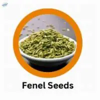 Indian Organic Fennel Seeds