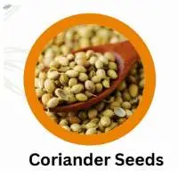 Indian Organic Coriander Seed