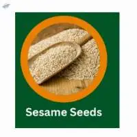 Indian Organic Sesame Seeds