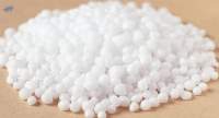 Diammonium Phosphate
