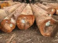 Best-sawn Cameroon teak