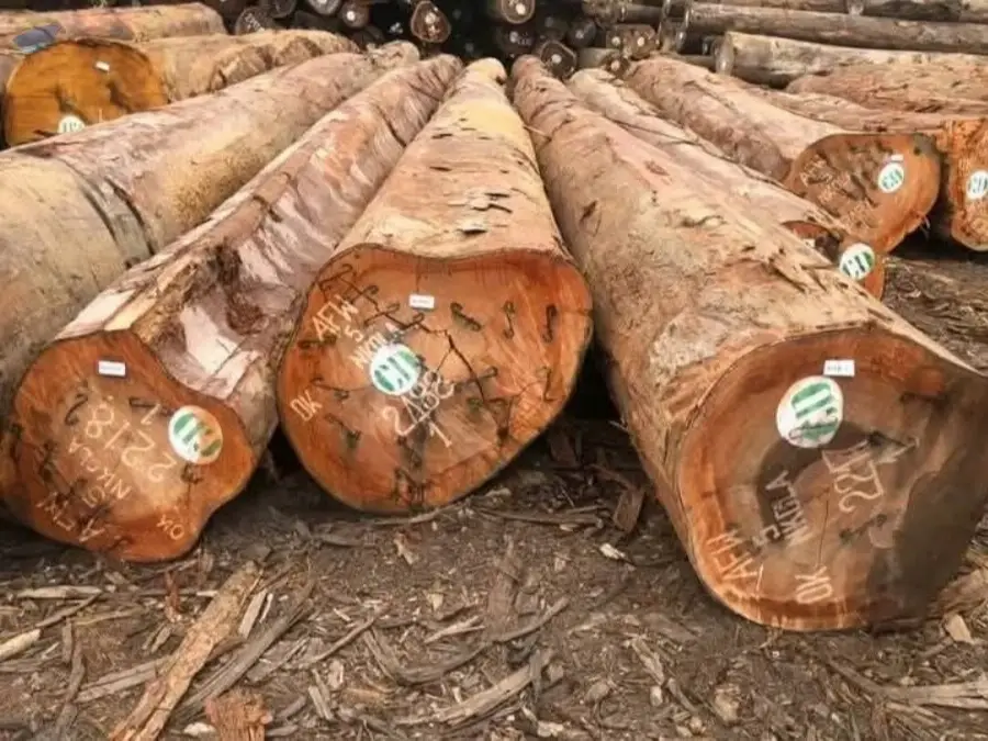 Best-sawn Cameroon teak