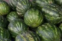 Watermelon
