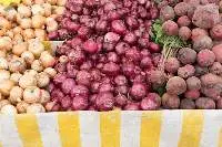 Onion