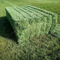 Alfalfa Hay Animal Feed