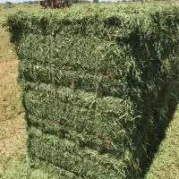 Alfalfa Hay Animal Feed