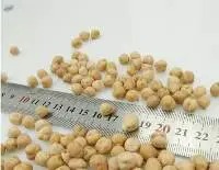 Chickpeas