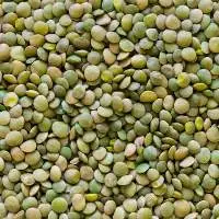 Split Green Lentils